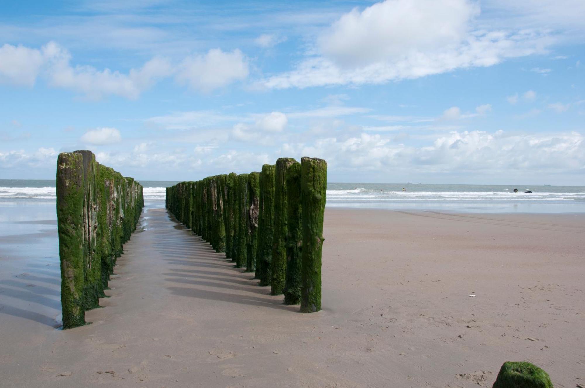B&B Aquavit Knokke-Heist Exterior photo